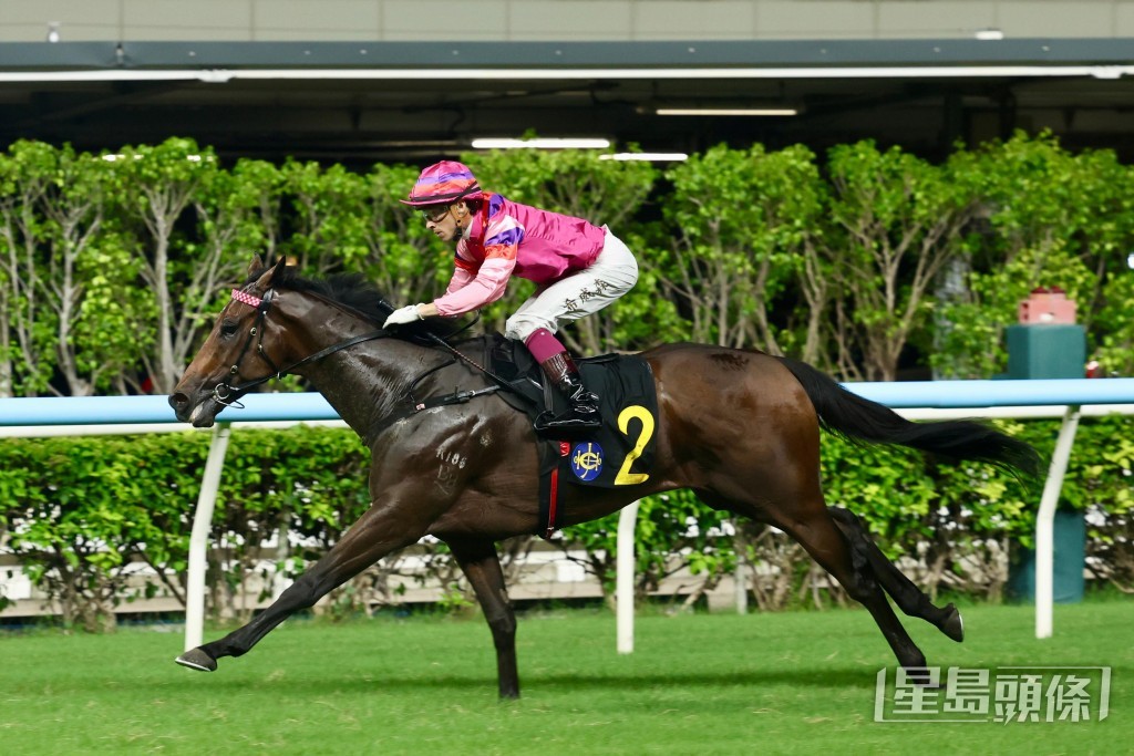 「蓮冠皇」最近兩場增程跑一六五○米，結果均取得亞軍。