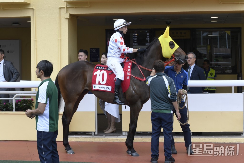 「路路勁」上場力拼僅負於「興馳千里」得亞軍。
