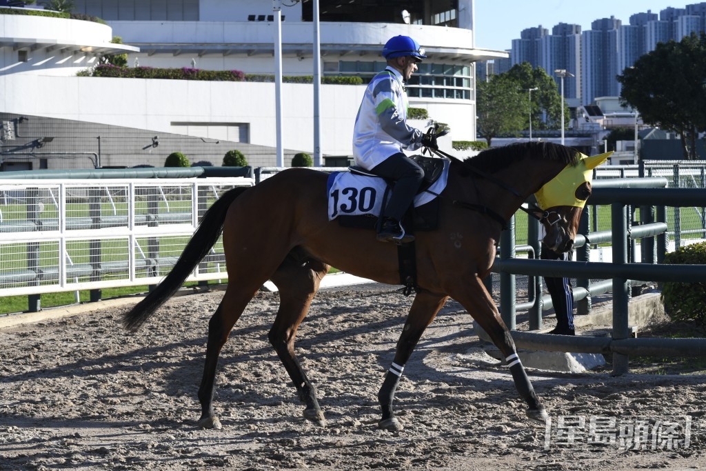 「光年魅力」周日再跑同程，有望演出進步，並走入三甲一席。