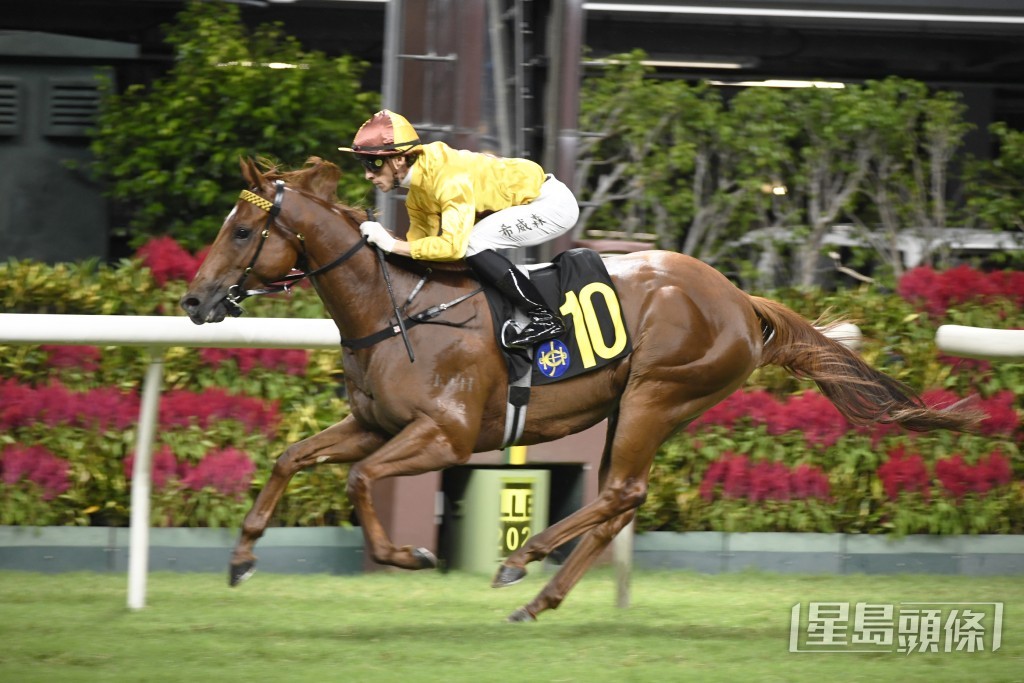 「譽友駿駒」上場以三個馬位輕易擊敗對手勝出。