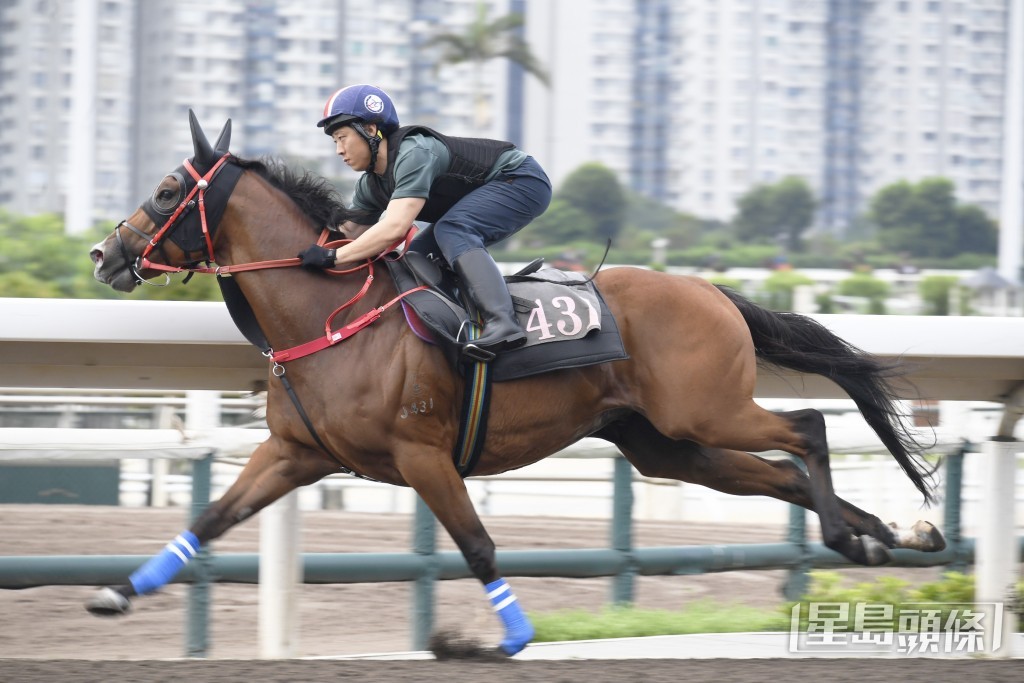  「馬力」沿途緊韁捉到實，跨步開揚力度充裕。