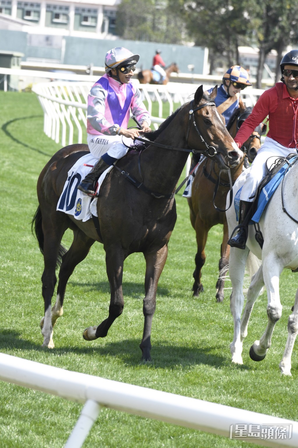 「暴風一族」轉投桂廄後第二戰，即在田草千二米力壓對手險勝。