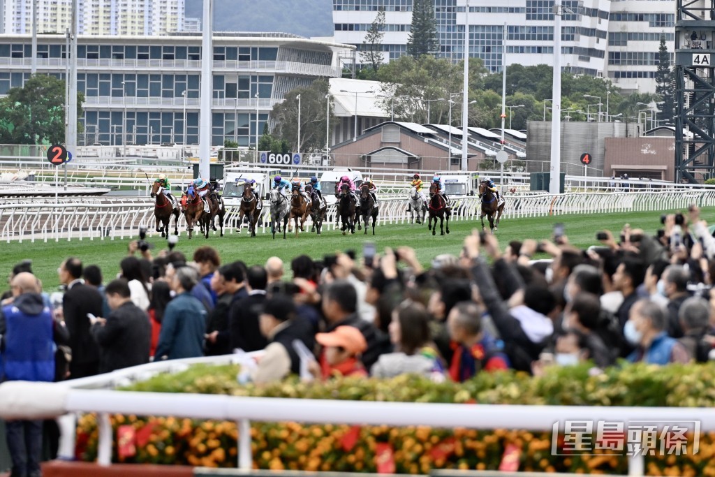 沙田馬場舉行11場新春「賀年馬」。
