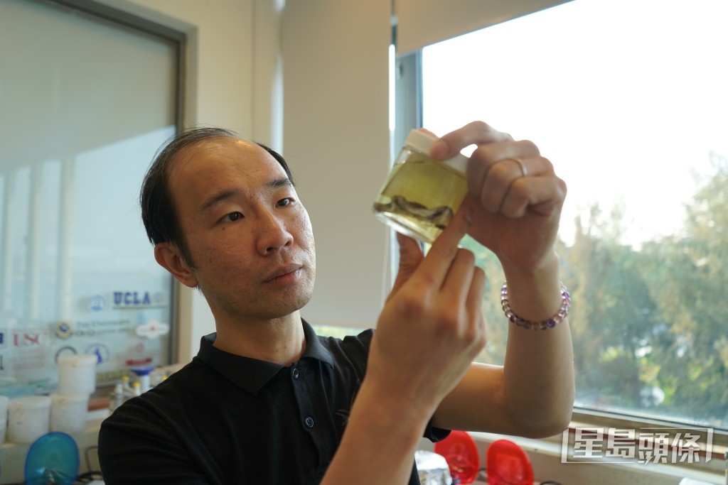 曾令銘研究海洋生物逾20載，對海洋的熱情未減。