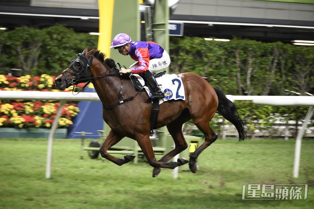 「飞涨」周三晚有望赢得今季第二场头马。