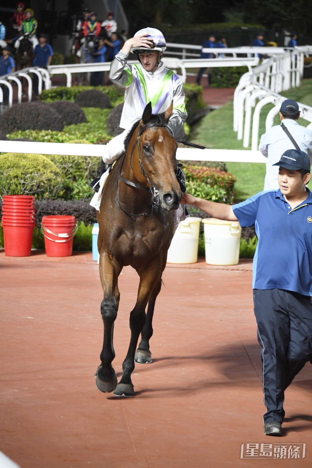 「光年魅力」上季服役至今，先后在田草千四米赢出五场头马。