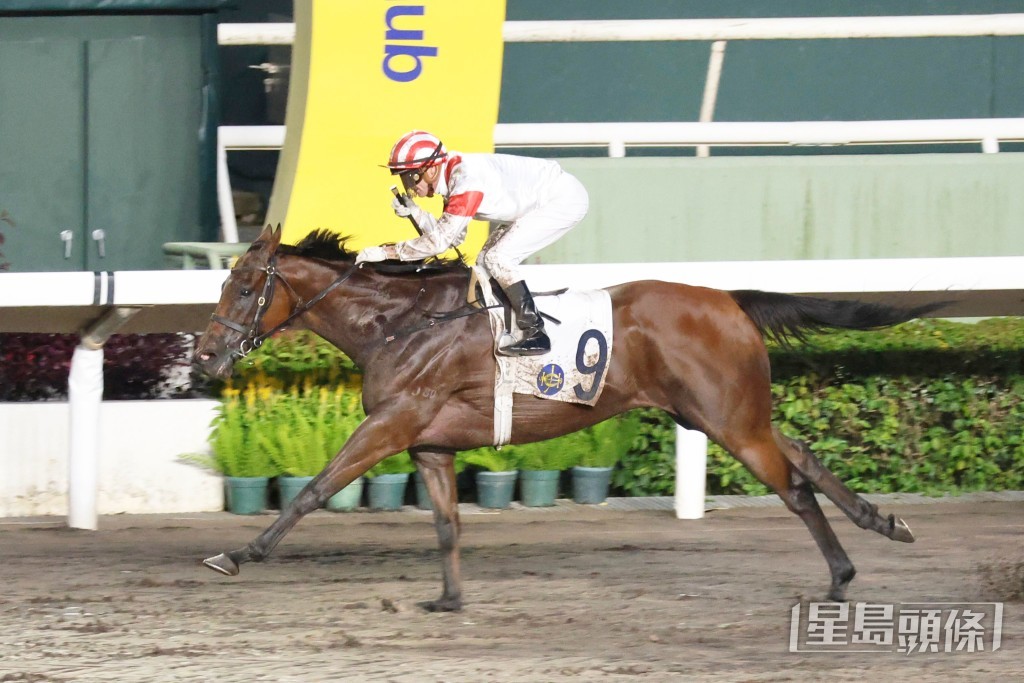 「川河型驹」早前由霍宏声策骑跑第二名后。