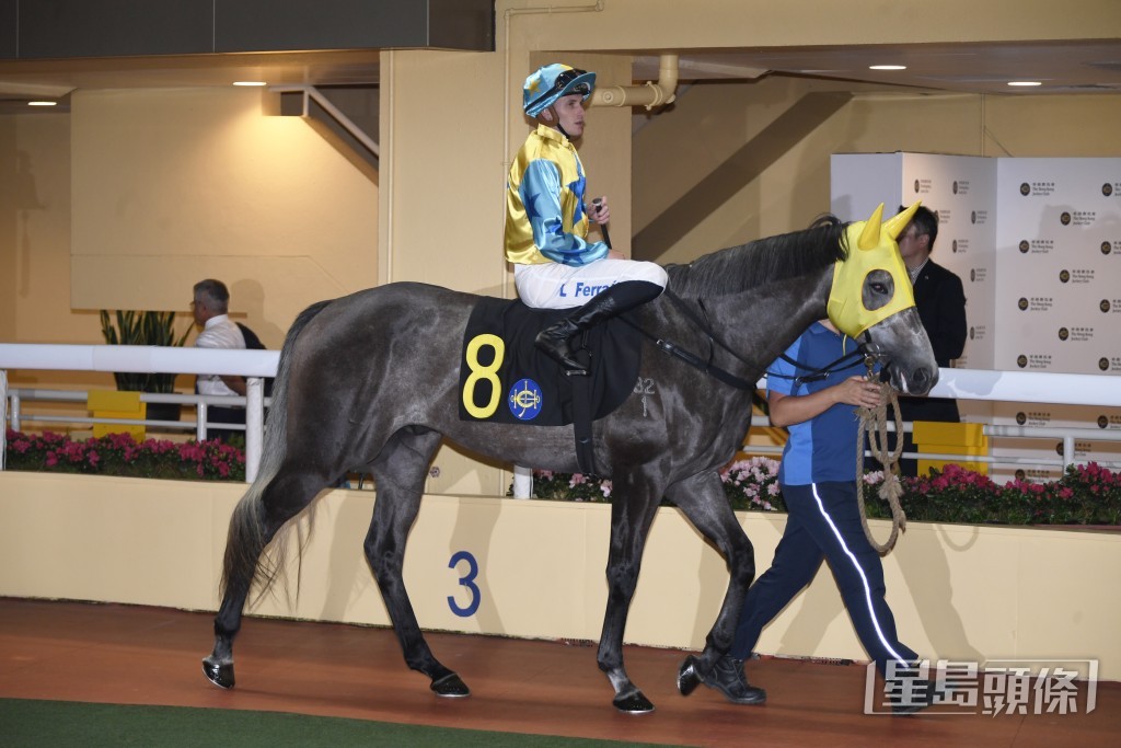 「康昌之星」前仗在同程後上跑獲亞軍。