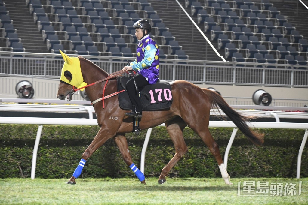 「明亮天下」田泰安人馬故劍重逢，狀態已經操起，具爭勝機會。