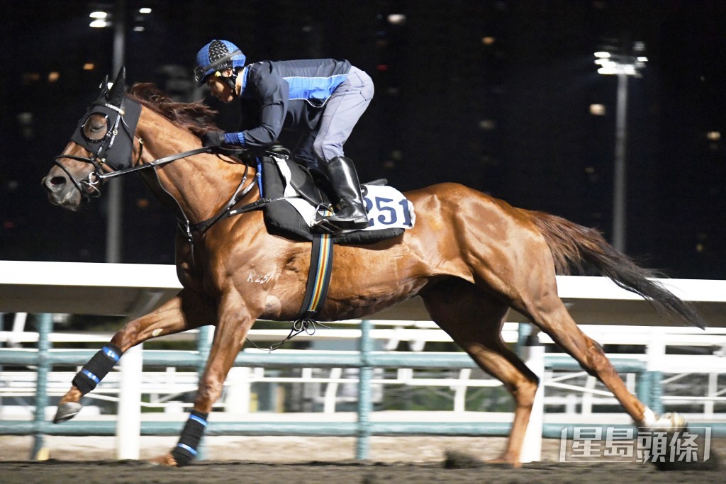 「飞雪神驹」马身收靓展现线条，愈来愈省镜。