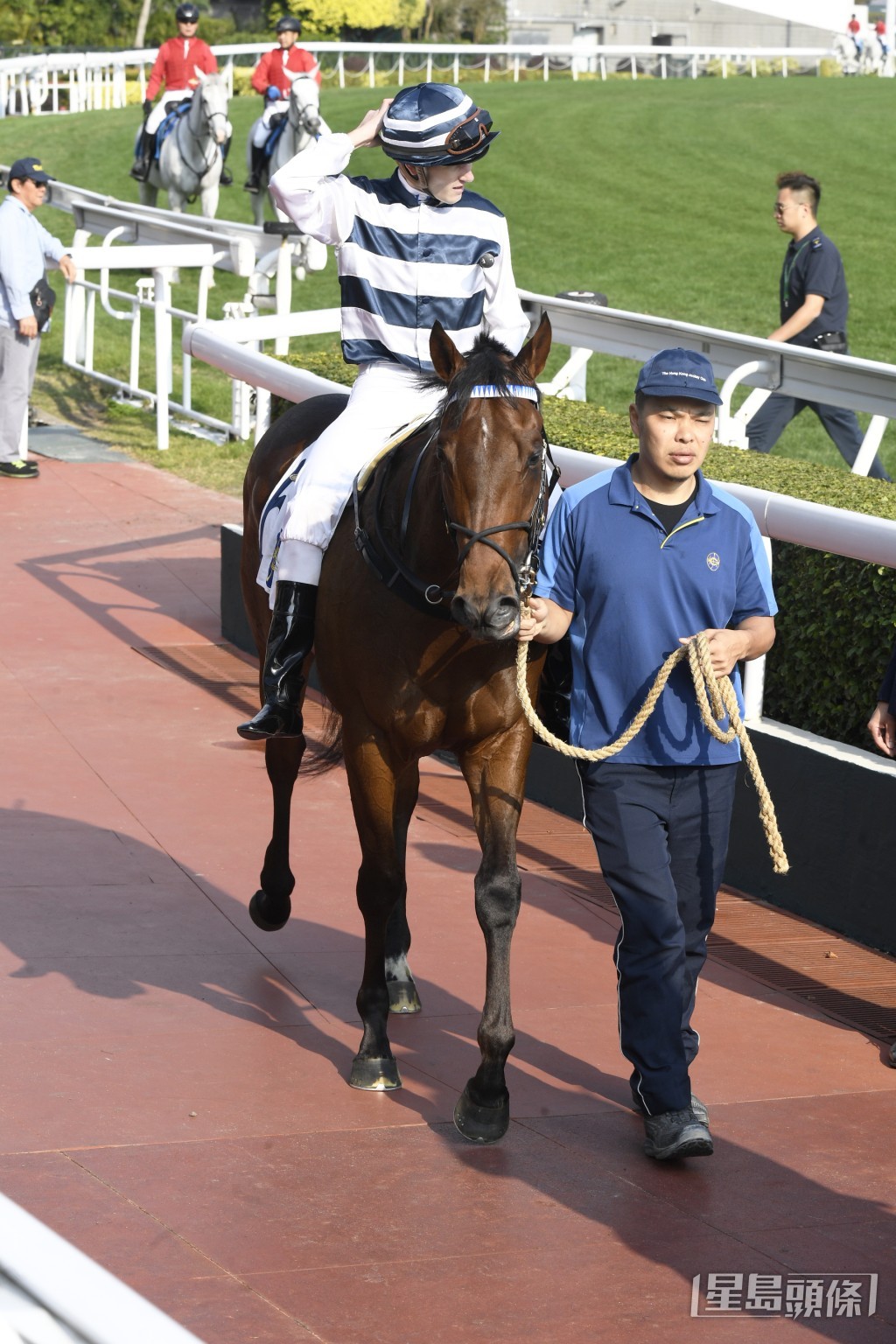 「快乐神驹」上场即使排外档起步，仍然力拼得季军。