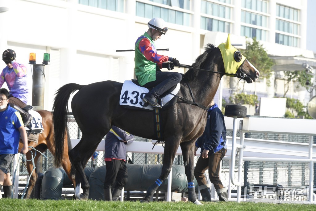 霍宏聲昨朝出跳「榮耀掌星」期間，一再拍馬頸以示滿意。