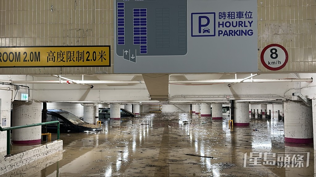 環翠車場頓成澤國。資料圖片