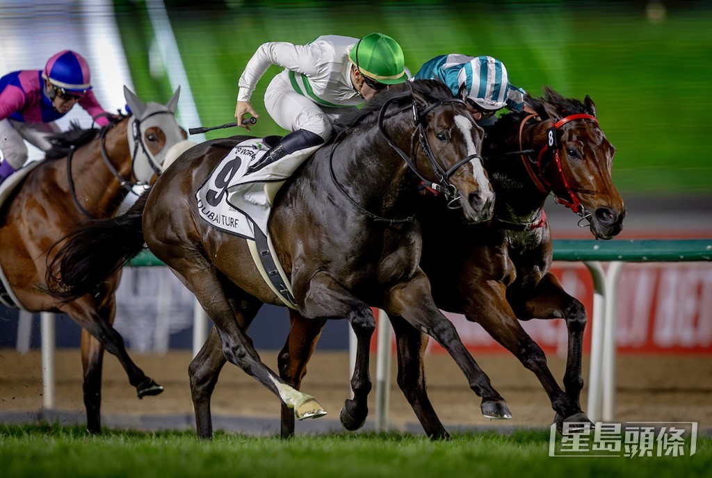 「神志勇進」在杜拜草地大賽險勝「浪漫勇士」。