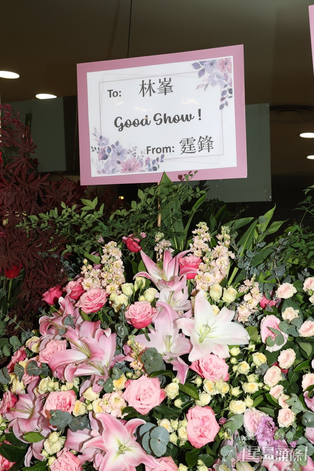 謝霆鋒 謝霆鋒