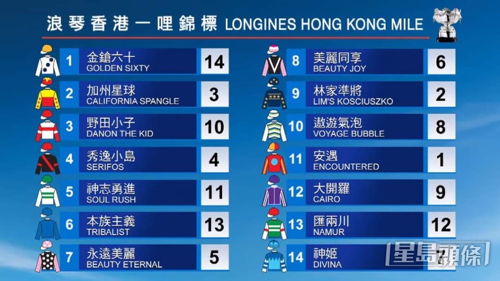 香港一哩錦標十四駒檔位圖。 香港一哩錦標十四駒檔位圖。
