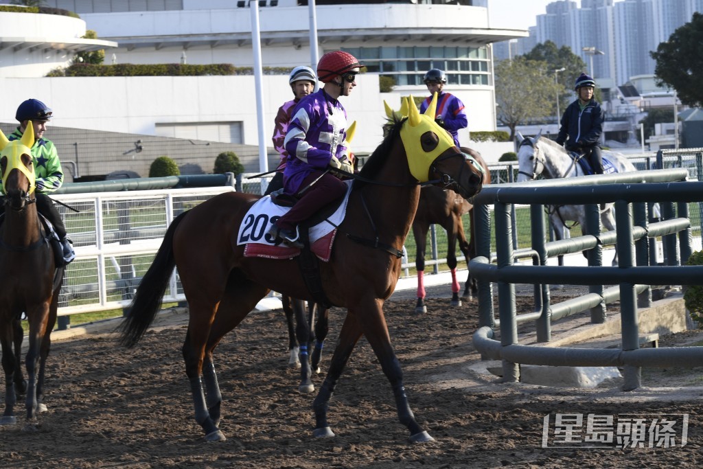 「龍城精將」步幅開得好闊又夠急勁，火力比前再增強。