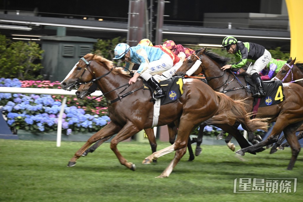 「決一劍」上季兩場頭馬皆在同程取得，且均由霍宏聲策騎。