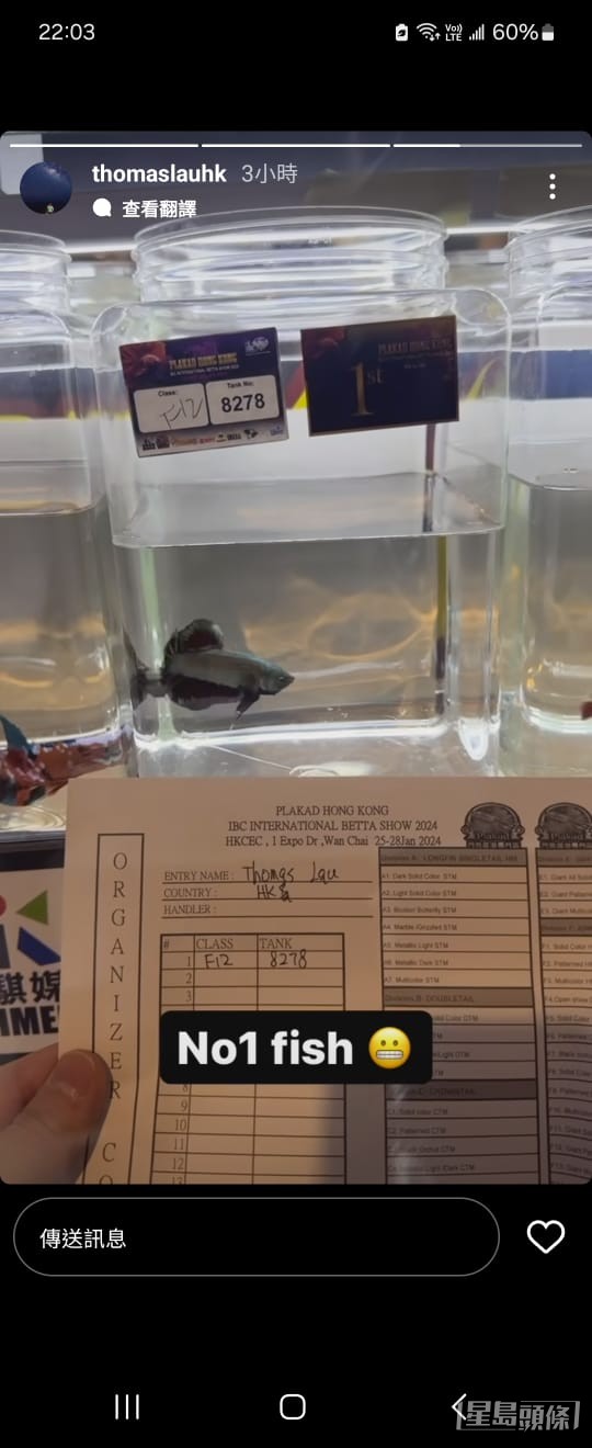 劉心暉養的鬥魚在今屆「鬥魚香港國際展覽賽」在其中一個分組勝出得到冠軍。 劉心暉養的鬥魚在今屆「鬥魚香港國際展覽賽」在其中一個分組勝出得到冠軍。