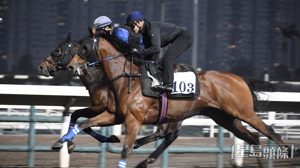 前卫火影」走势硬净劲度未减，更胜赢马时候。