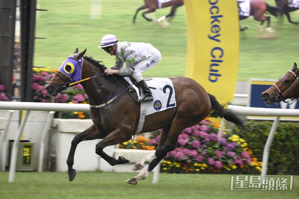 「光年八十」今季转投桂厩后，已先后取得两个亚军。