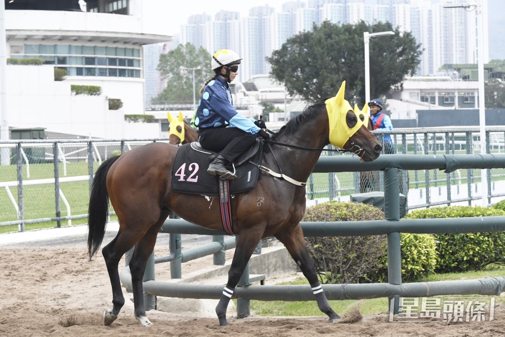 「中環精英」走勢硬朗毛色油潤，埋門操足勇況冒起。
