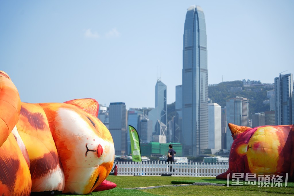 互動藝術裝置《夢遊喵境》首次於亞洲展出。