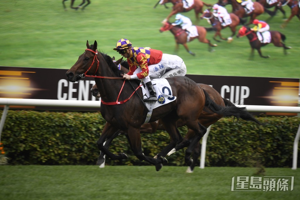 「華麗再勝」今仗面對的對手不強，坐二望一。