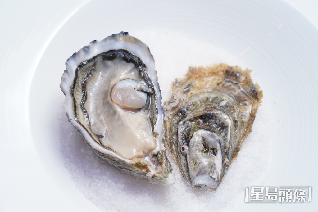 近日連環爆出多宗生蠔食物中毒個案。資料圖片