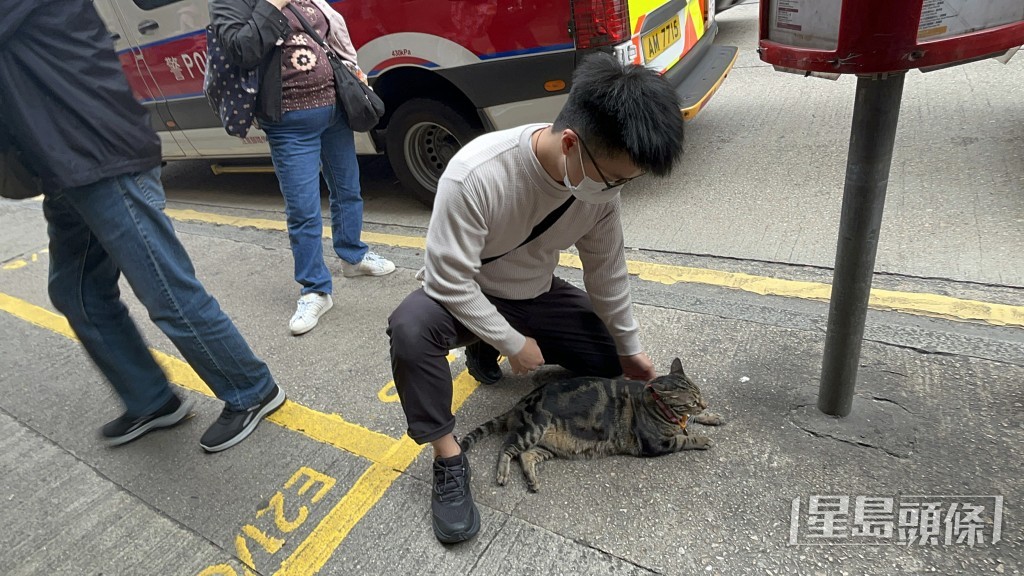 貓主李先生對愛貓寸步不離。楊偉亨攝