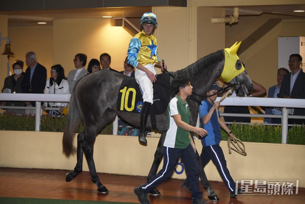 「康昌之星」狀態和成熟程度均勝上季。