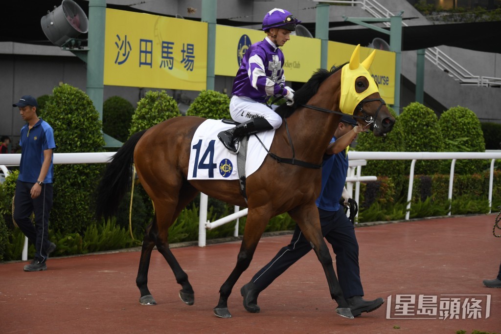 「龍城精將」如抽得內檔，將更有利爭勝。