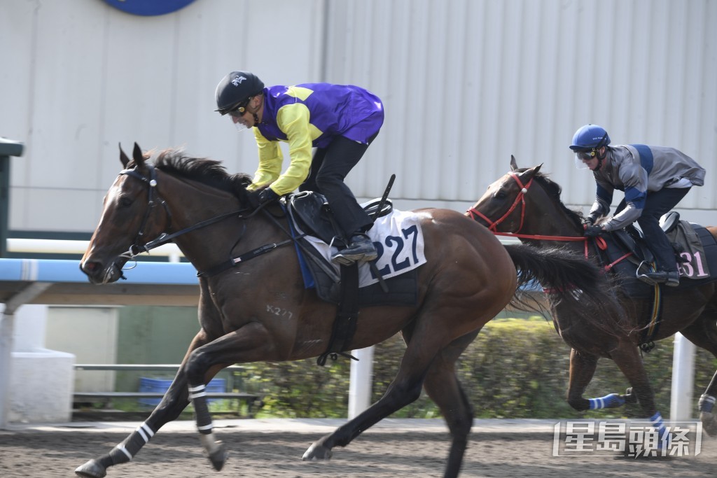 「顏色之皇」大大步從容走過，比起之前更銳利。