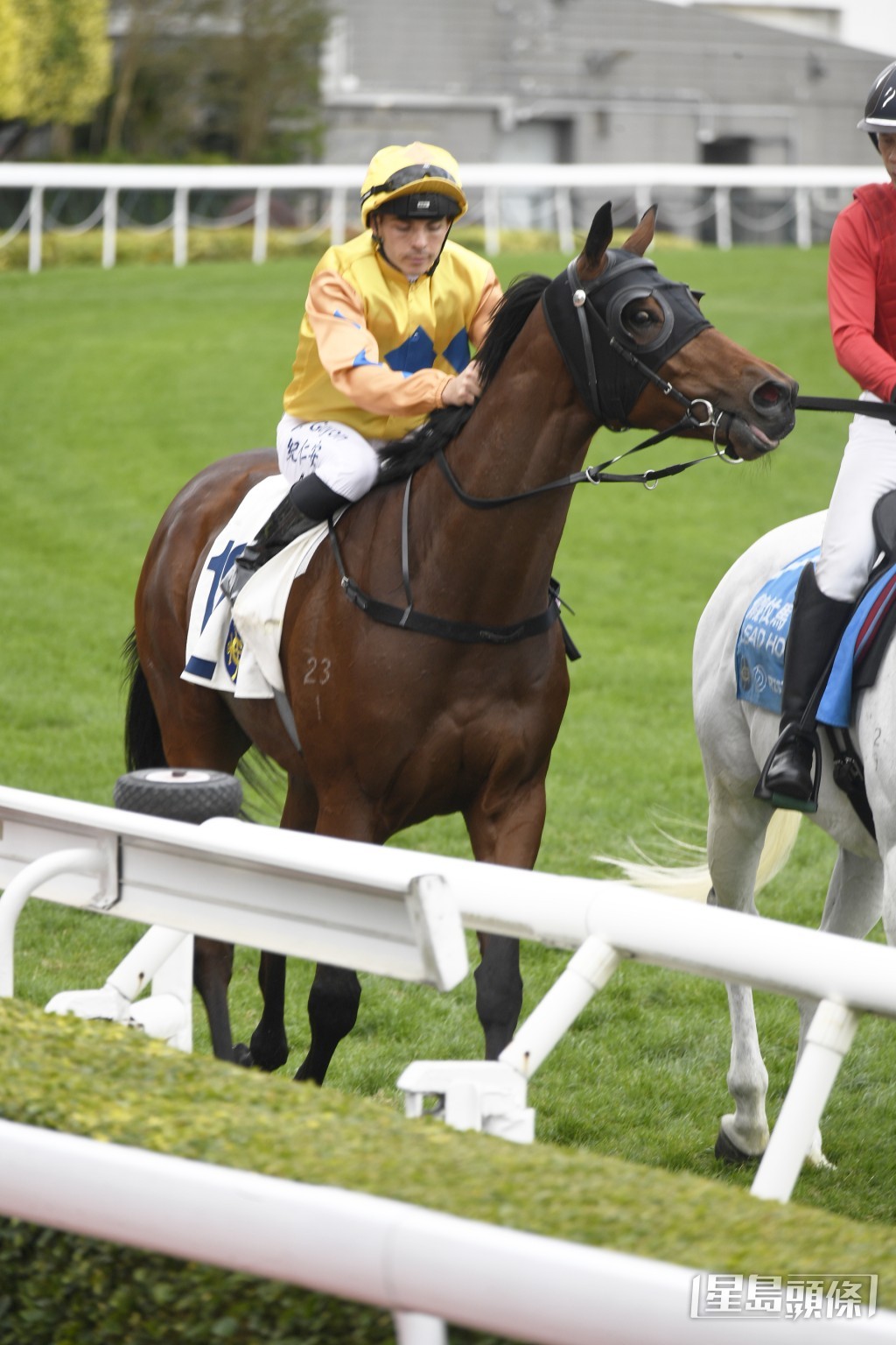 「金多囍」上仗排在最不利的十二档，只落后头马三个半马位过终点。