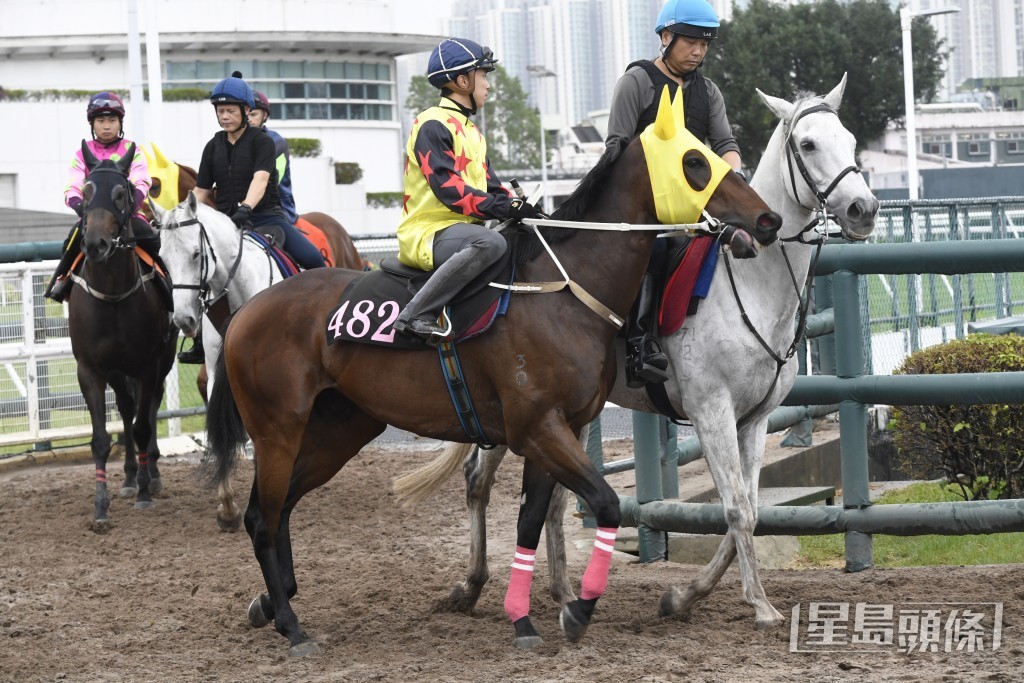 「千杯」扣住而馳心火湧現，前所未見省鏡。