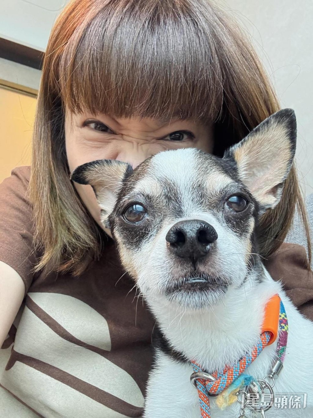 小儀愛犬尚在醫院留醫，需要老公分擔照顧責任。