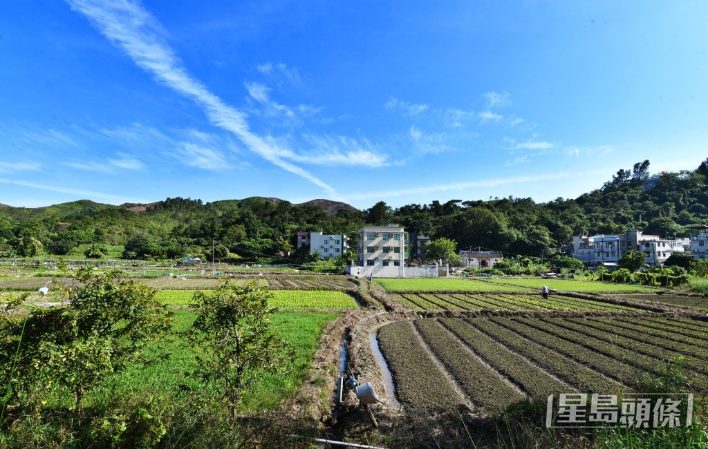 蔡冠深表示意向书有助展示团结。资料图片