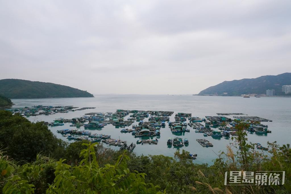 黃晞晴表示，上世紀80年代初，家族搬入馬灣養殖區。