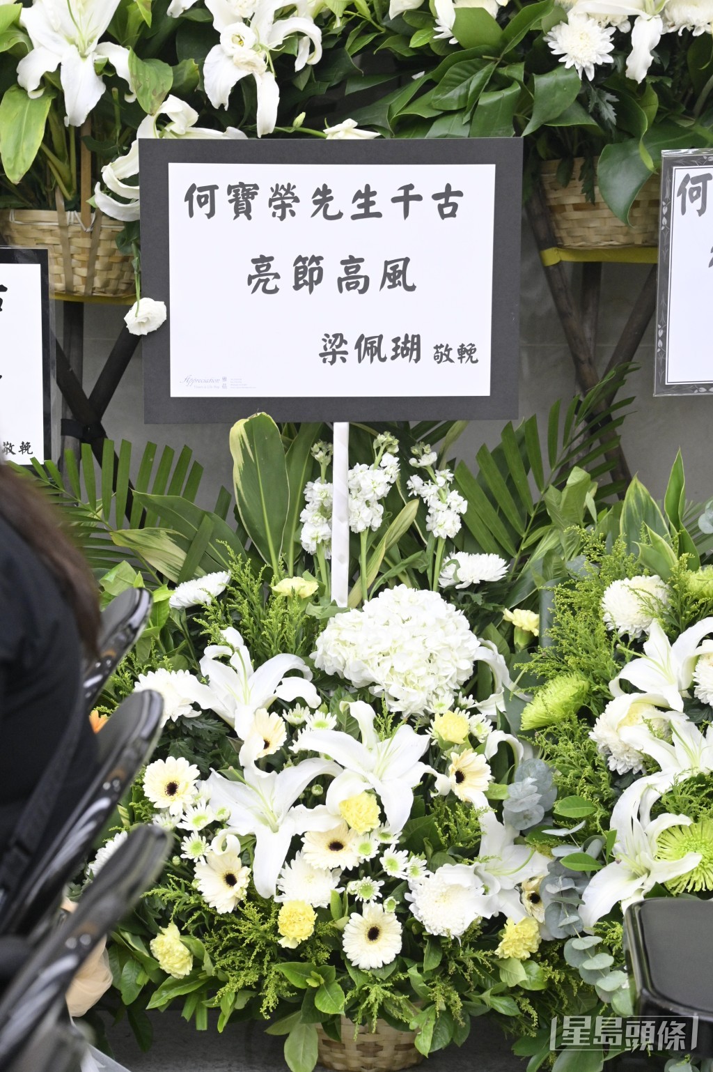 梁佩瑚向何寶榮致意。 梁佩瑚向何寶榮致意。