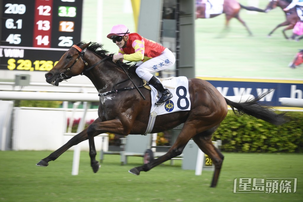 「祝願」三位女馬主車曉紅、唐獻芳和許禮詩周日全力為馬兒打氣。