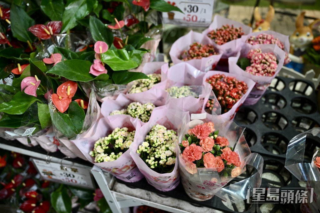 業界指受市民北上消費衝擊,今年母親節鮮花需減價求售。 劉駿軒攝 業界指受市民北上消費衝擊,今年母親節鮮花需減價求售。 劉駿軒攝