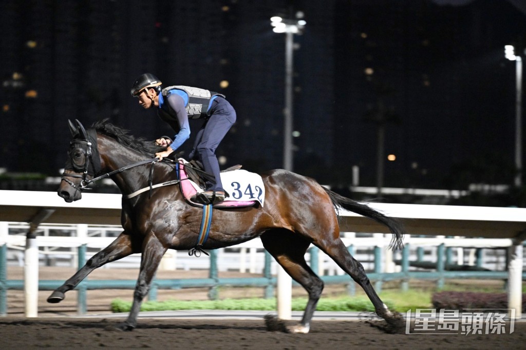 「合夥飛馳」 「合夥飛馳」