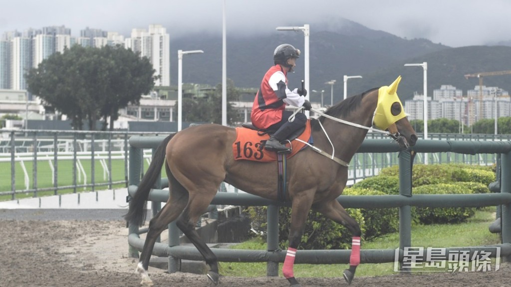 今早「萬事勝利」順利完成試閘。 今早「萬事勝利」順利完成試閘。