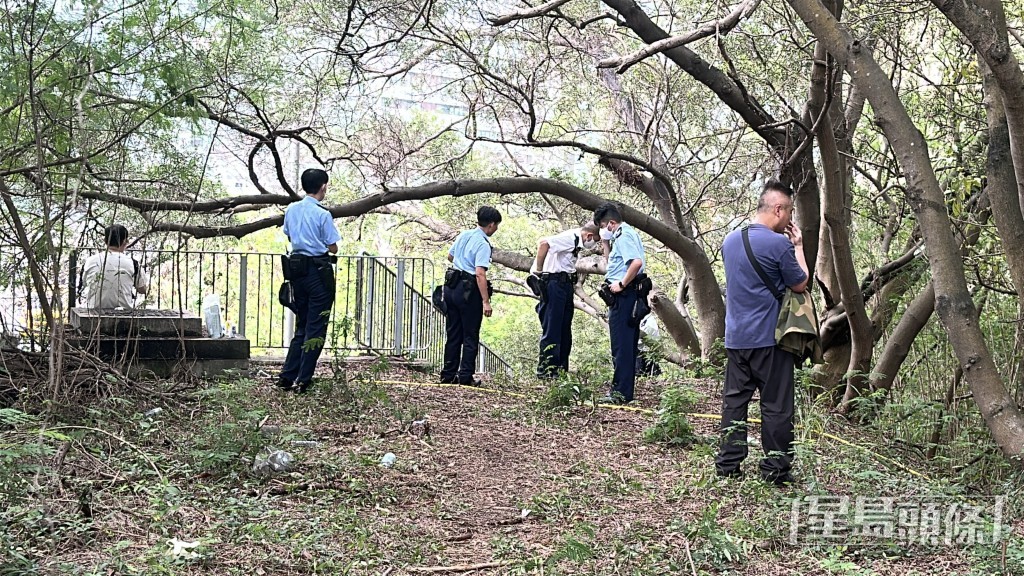 斜坡發現男屍。劉漢權攝 斜坡發現男屍。劉漢權攝