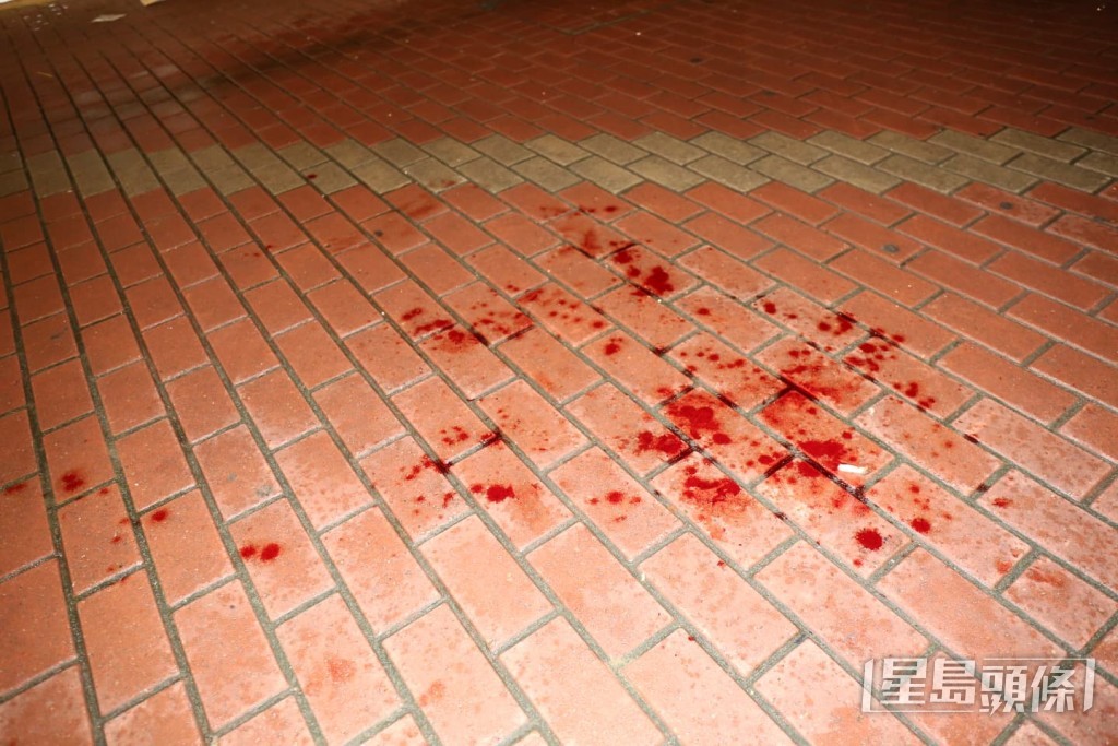 大廈後樓梯、後巷延伸至對開行人路一帶，均留下一條「血路」。黎志偉攝