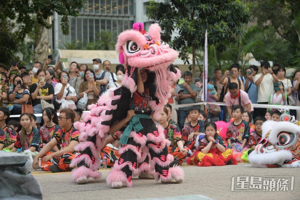 来自香港和广东等地的龙狮队，组成8 条彩龙和 75 头醒狮参加大汇演。陈浩元摄