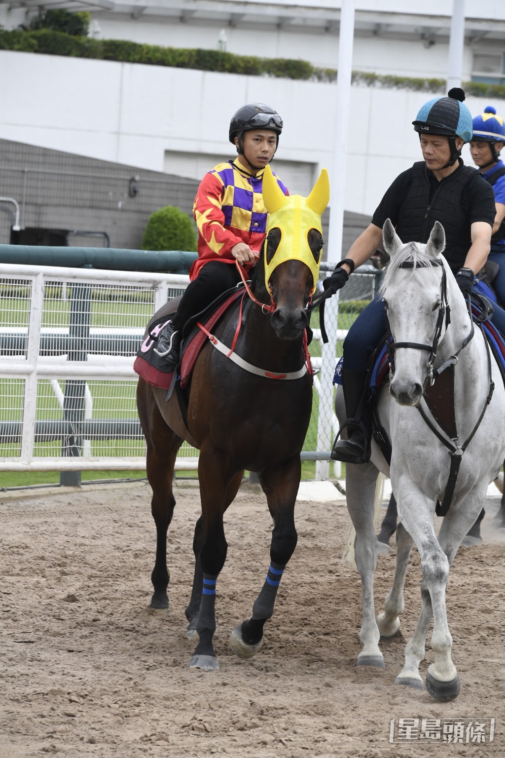 「華麗再勝」今仗移師賽事水平稍遜的谷草，可收復失地。