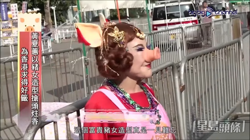 黃夏蕙扮豬迎豬年。 黃夏蕙扮豬迎豬年。