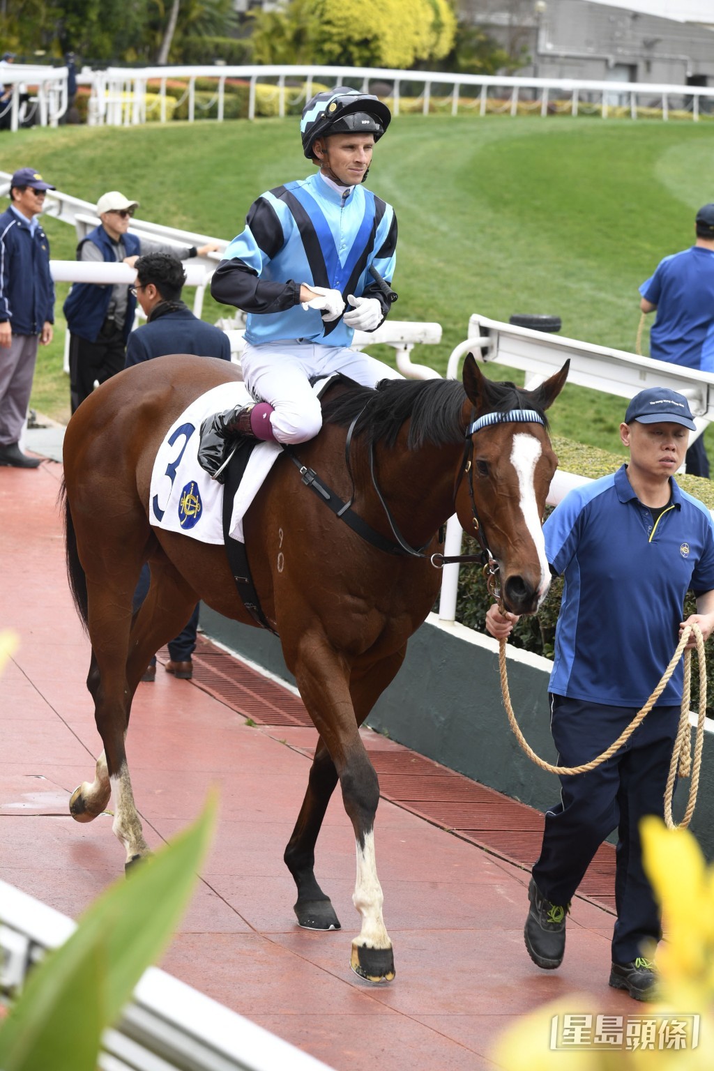 「同祥和順」今季九戰得一冠兩亞四季。