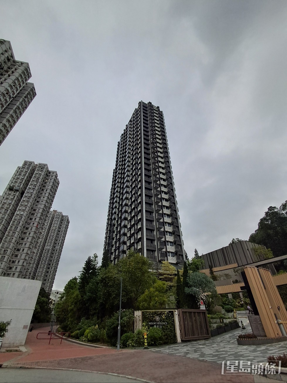 女業主到御半山收樓期間發現租客遺4貓。林思明攝 女業主到御半山收樓期間發現租客遺4貓。林思明攝